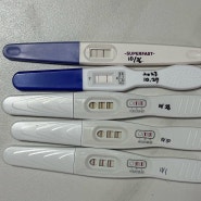내가 임신?! 5주차 6주차 산부인과 아기집확인 임신초기증상까지
