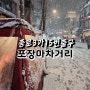 [서울] 종로 3가 15번출구 포장마차 맛집 거리 눈 오는 날 부어라 마셔라!