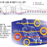 라텍스 매트리스 살 때 어떤걸 알아보면 좋을까요?