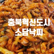 [소담낙찌:] 충북혁신도시 낙지볶음 맛집, 소담낙찌, 새우튀김 맛집, 돌솥밥