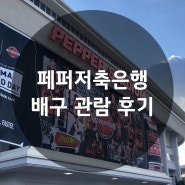 14연패한 페퍼저축은행 경기 2층 일반석 직관 후기(vs흥국생명)
