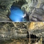 용천동굴 세계자연유산 등재된 천연기념물 정보