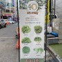 [대전] 샐러드40 / 수경재배 샐러드 / 내돈내산 솔직후기