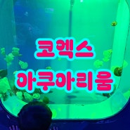 서울 코엑스 아쿠아리움 3살 5살 후기 및 정보 (주차 할인)
