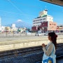 도쿄 -> 시즈오카🌱 -> 후지노미야🗻 *아침부터 신칸센 대환장파티ㄷㄷ & 시즈오카는 어딜가도 후지산🗻이 뙇!?ㅋㅋ 23.12.30.