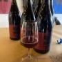 영국 런던 해크니의 크래프트 와인 생산자 넘버스 와인 Numbers wine