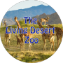 2023 감기 투혼 여행-리빙 데저트 동물원 (The Living Desert Zoo)