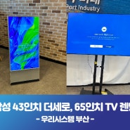 부산 테크노파크 삼성 43인치 더세로TV, 삼성65인치 TV 렌탈
