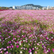 순천만국가정원