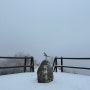 [남원]지리산 바래봉 최단 코스 눈꽃 산행