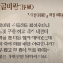 (詩) 산골바람