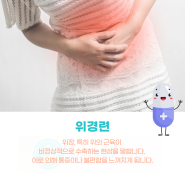 위경련 증상, 원인 위경련에 좋은 음식은?