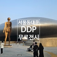 서울 동대문 ddp 미디어아트, 사그마이스터 무료 전시