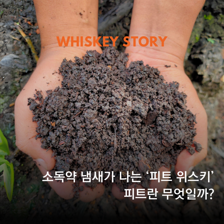 피트 위스키 | '피트'란 무엇일까? : 네이버 블로그