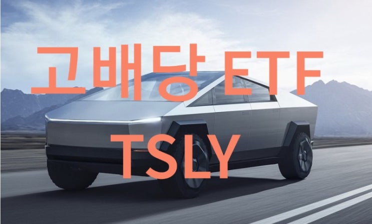 TSLY ETF(YieldMax TSLA Option Income Strategy ETF) : 네이버 블로그