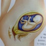 임신 5개월(17주, 18주, 19주, 20주) 증상 / 안정기, 태동, 몸의 변화