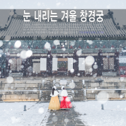 눈 오는 날 가볼만한 곳, 서울 북촌 한옥마을, 창경궁
