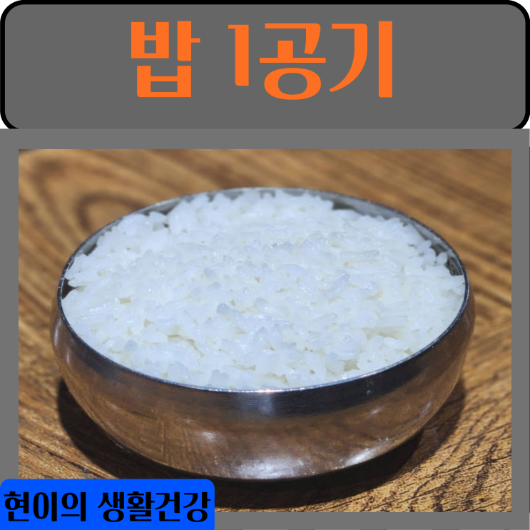 밥 한공기 칼로리 탄수화물 단백질 함량 (쌀밥) : 네이버 블로그