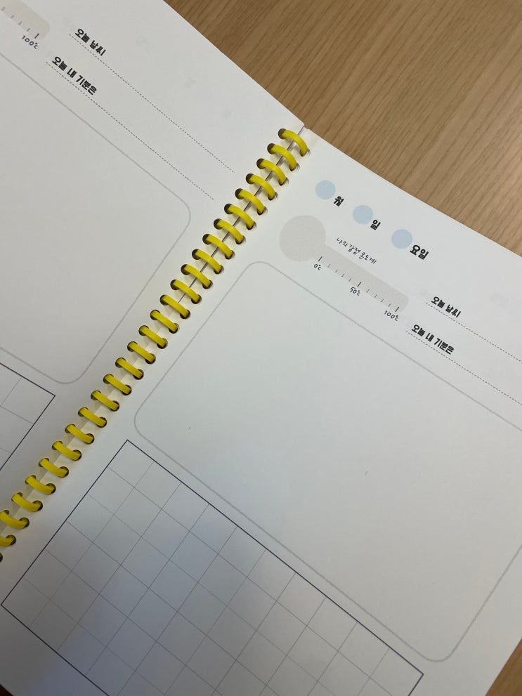 초등 일기장 pdf 무료양식 공유(10칸/줄형식-2종) : 네이버 블로그