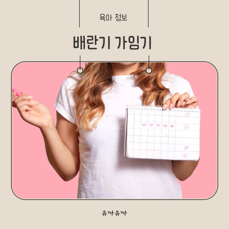 배란기 가임기 뜻 임신 확률 계산기 배란일 임신증상 비가임기 임신 가능성 알아보기 : 네이버 블로그