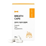 2차 본아페티 강아지 기관지 영양제 브레스캡스 60정(~1/21)
