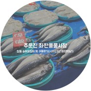 주문진 좌판풍물시장 :: 참돔 숭어 오징어 회 구매 후기 (+ 2023 마지막날)