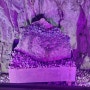 [2023]세모녀 겨울이야기/PART.2 울산: 자수정동굴나라 동굴&수로탐험이야기(할인정보/볼거리등)