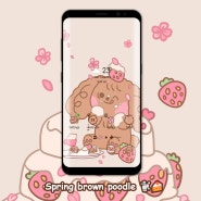 [YEAH] 벚꽃 딸기 케이크와 갈색 푸들 Spring brown poodle🐩🍰