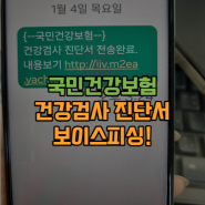 국민건강보험 건강검사 진단서 링크 보이스피싱 스미싱 주의 링크를 클릭했다면?