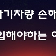 자동차보험 자기차량손해(자차) 담보를 가입해야만 하는 이유!!