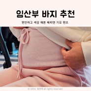 임산부 바지 색감도 예쁘고 편한 해피텐 기모팬츠