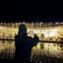 부산시민공원 빛축제 거울연못 위치 포토존 팁