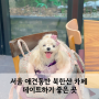 서울 애견동반카페 북한산 4.19 카페인! 친구나 연인과 함께 데이트하기 좋은 곳 소개