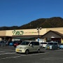 요괴마을 사카이미나토 먹거리 쇼핑은 슈퍼마켓에서! 요나고여행, 사카이미나토 여행 쇼핑팁 (대게가 진짜 저렴)