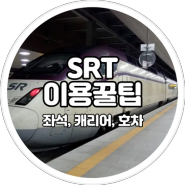 SRT 매진 예매 호차별 꿀자리 추천, 캐리어 보관 꿀팁 모아보기