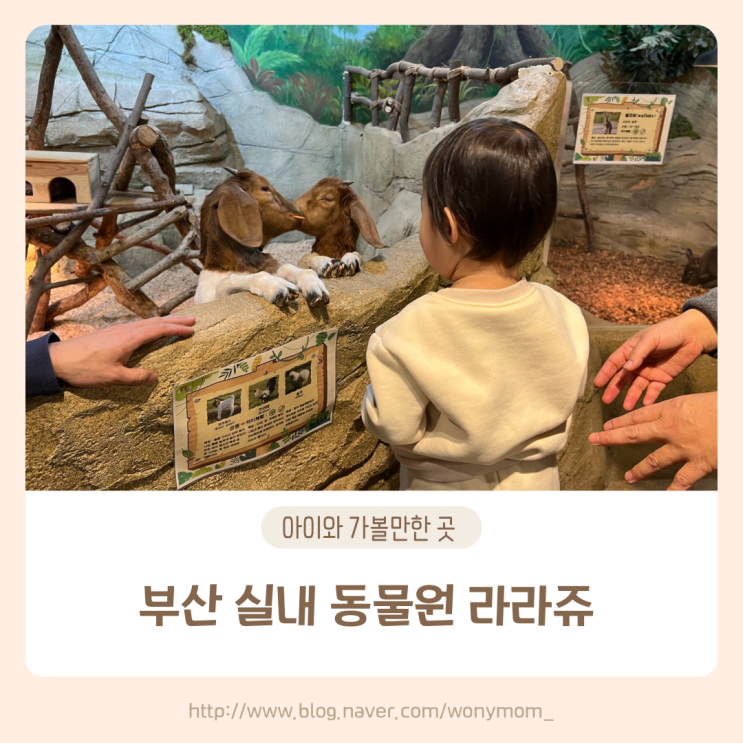 부산 동물원 라라쥬 명지 아이와 가볼만한 곳
