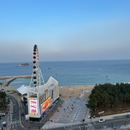 속초아이 대관람차가 보이는 숙소 리스트와 어반스테이 속초해변 후기