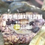 내돈내산) 제주중앙성당 근처맛집_ 제주흑돼지떡갈비