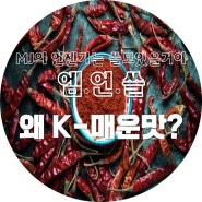 유독 왜 K-매운맛?