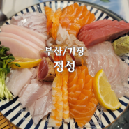 [부산/기장 맛집] 조용하게 사시미를 즐길 수 있는 '정성'