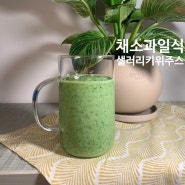 채소과일식 아침 샐러리주스 with 키위 /클렌즈다이어트쥬스