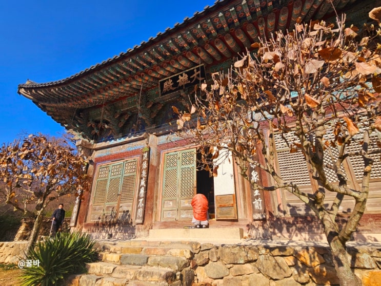 부산 절 추천 기장 장안사 산책 코스 불광산 대나무숲 : 네이버 블로그