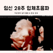 임신 28주 입체초음파 자궁 경부길이 짧음, 증상 공유