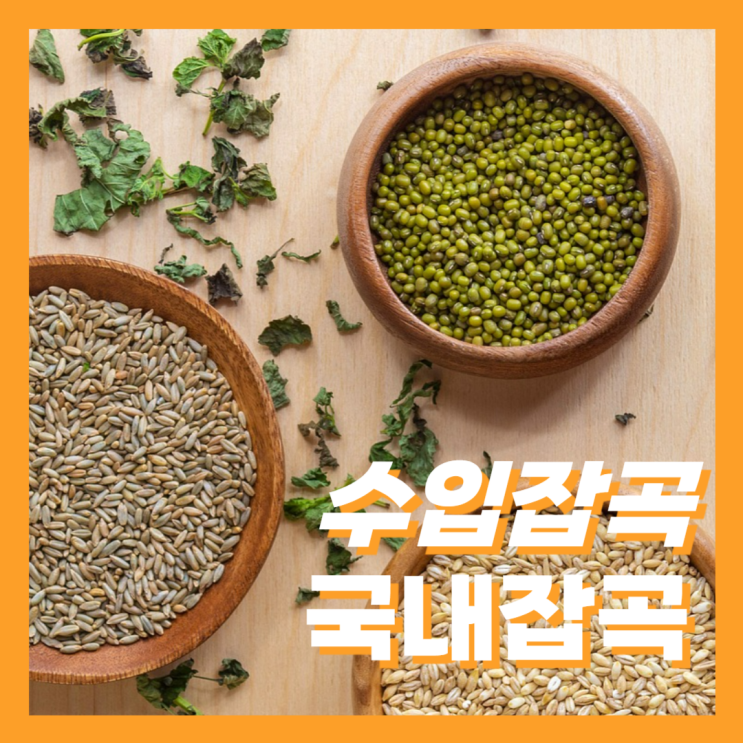 수입잡곡 대신 먹기 좋은 국내산 잡곡 종류 : 네이버 블로그