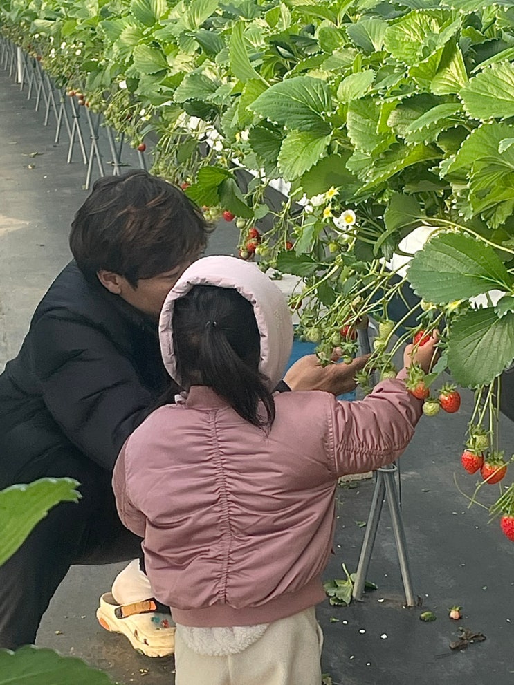 조이랑 통영 듬뿍농원