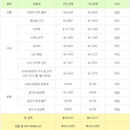 일본 오사카 교토 3박4일 여행 경비 및 준비물 꿀팁 총정리