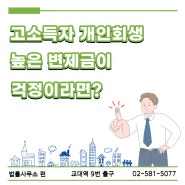 고소득자 개인회생 법률사무소 런이 도와드리겠습니다.