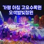 가평 아침고요수목원 오색별빛정원전 겨울에 가볼만한곳 야경명소