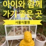 서울 강서 마곡 서울식물원 아이와 함께 가면 좋은 곳