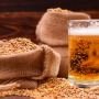 맥주 효모는 과연 탈모에 효과가 있는 걸까?
